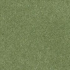 Westex Westend Velvet carpet in Reseda