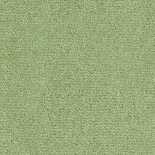 Westex Westend Velvet carpet in Rosemary