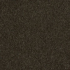 Westex Westend Velvet carpet in Saddle