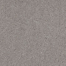 Westex Westend Velvet carpet in Silver Birch