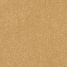 Westex Westend Velvet carpet in Spring