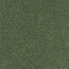 Westex Westend Velvet carpet in Spruce