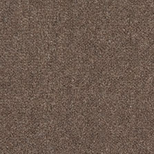 Westex Westend Velvet carpet in Suede