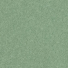 Westex Westend Velvet carpet in Tarragon