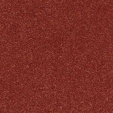 Westex Westend Velvet carpet in Terracotta